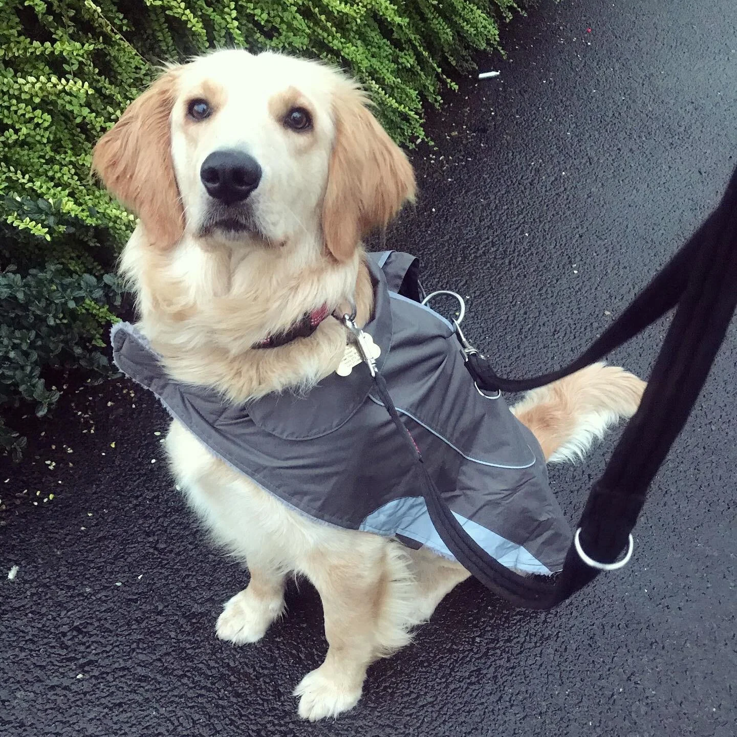 F02ED299-D927-4E00-A8D9-5F40A05AFE15