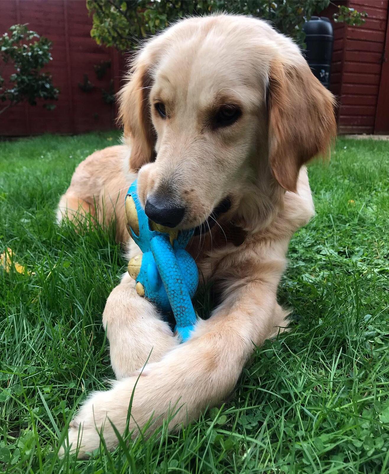 476B45DB-0794-46A5-8F4B-8B971F8A99C2