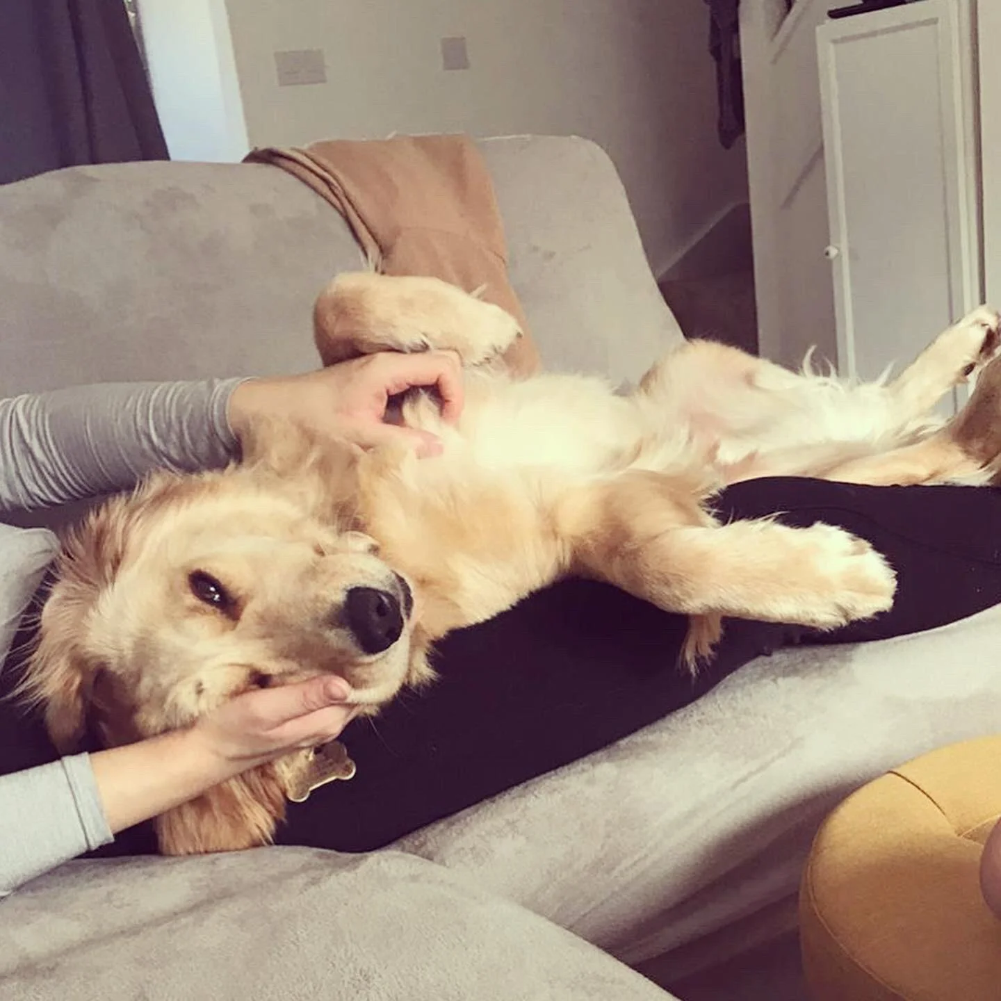 4A9DFCE8-B5A3-4139-8B0A-7829BA28DAE9