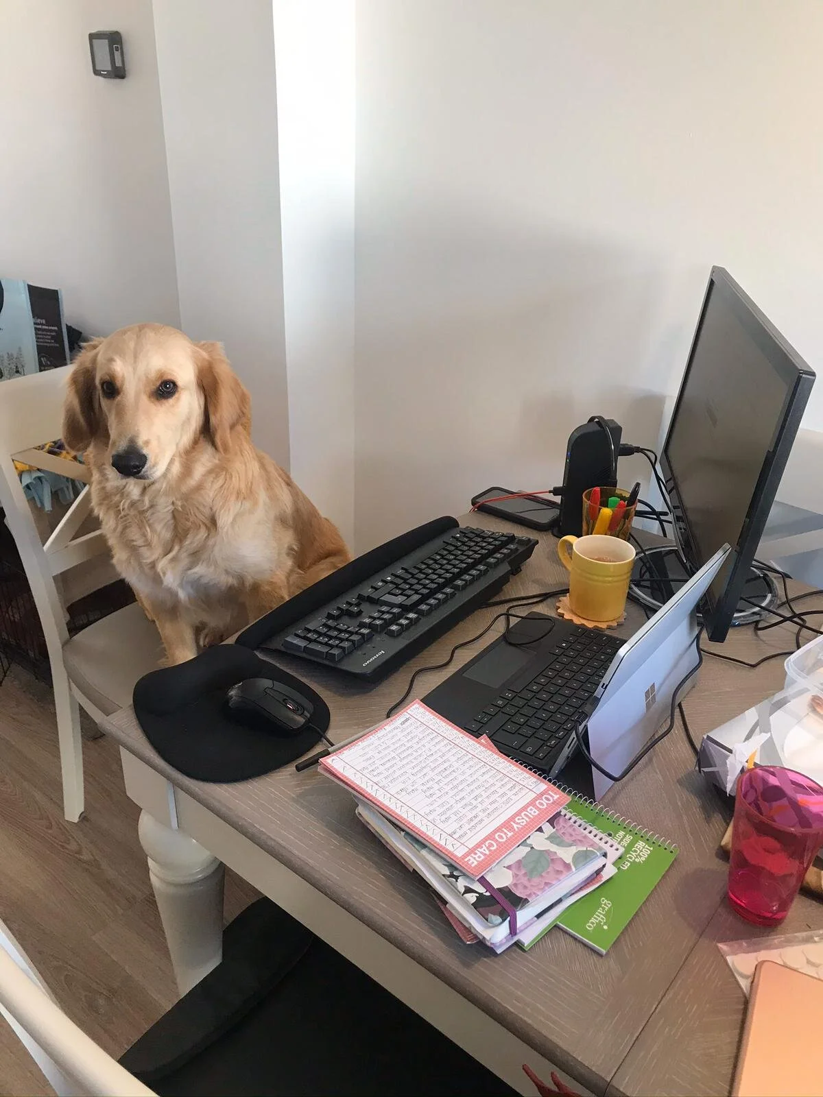 CD0024BE-8778-43FE-837B-9BD37B758891