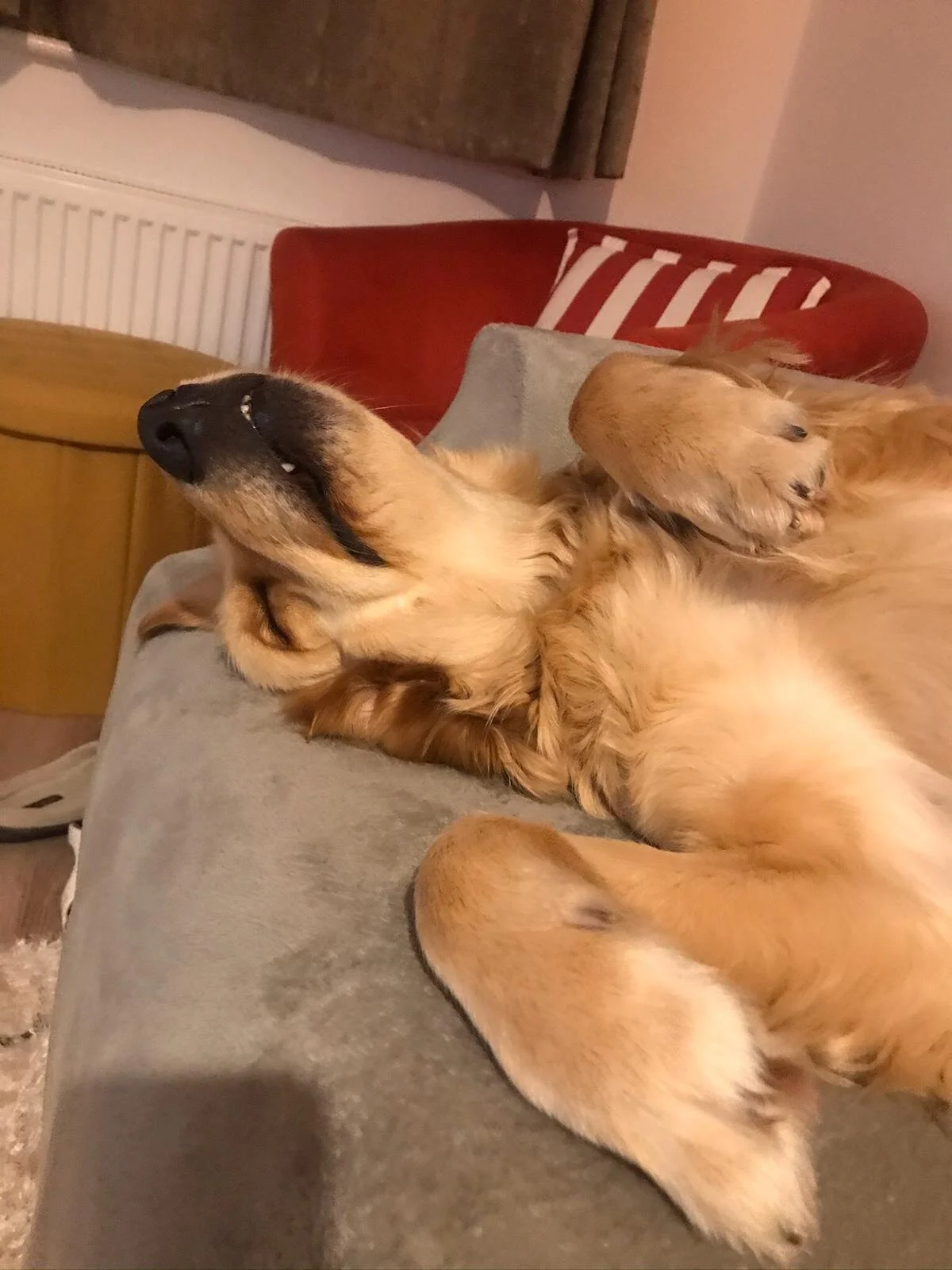 923A695D-0708-4DB8-A694-4D4E4BE2BC90