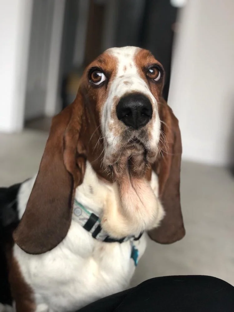 220D4E54-870F-482C-A720-5F383E18DB96