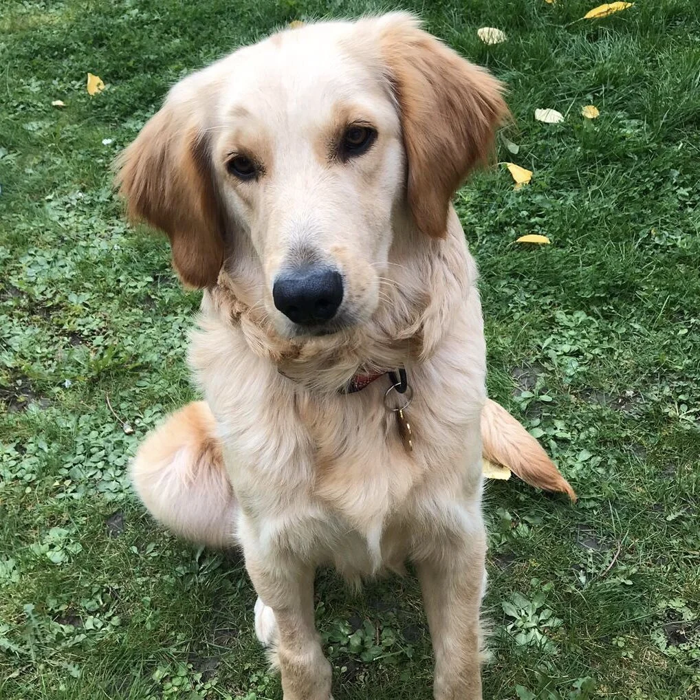 F3744DA5-1F94-466A-BD59-53B8F113B4B7