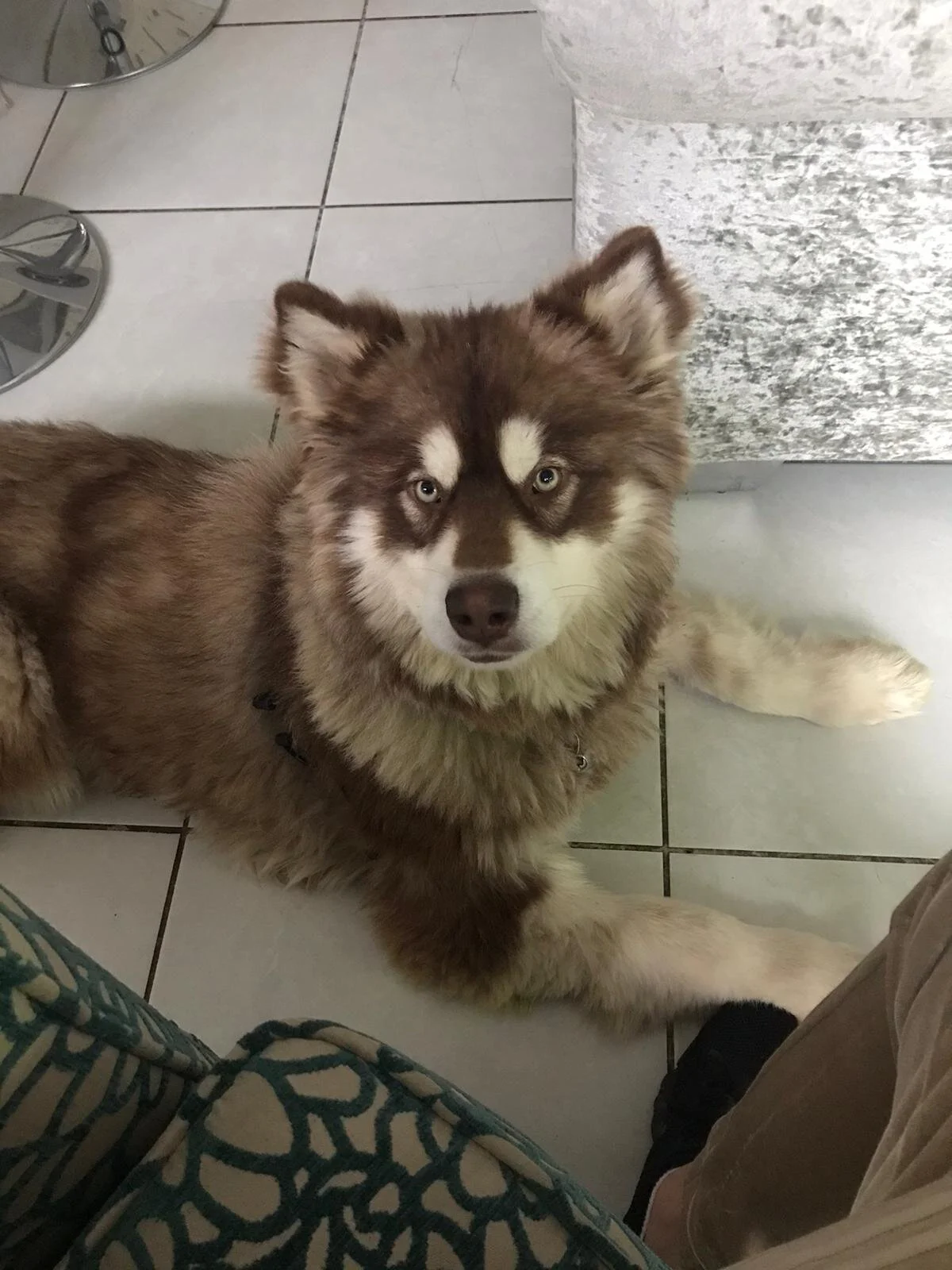 8DC41354-92FD-42B8-85AF-8E7F6CE2B27D