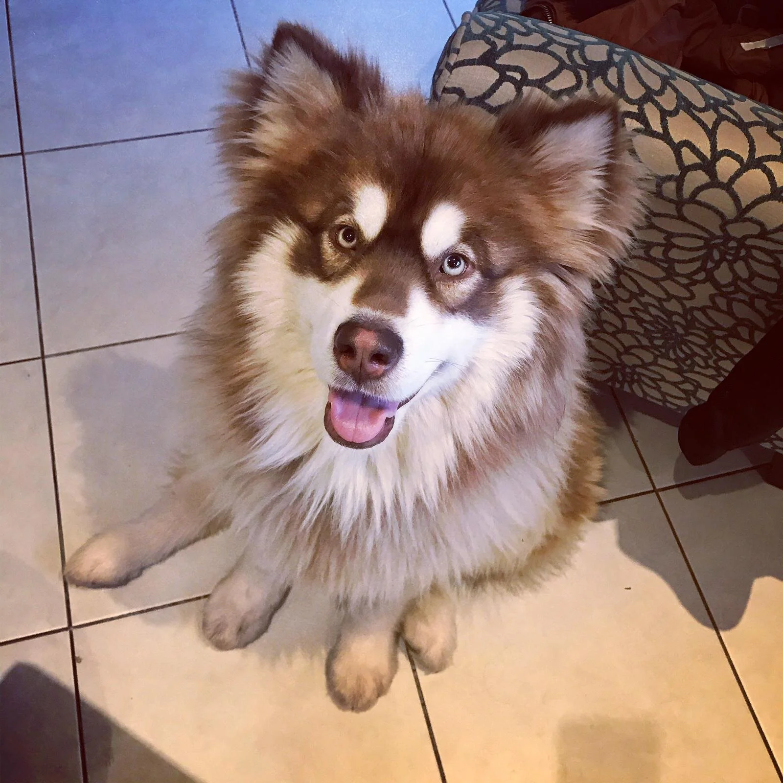 2E72E5A6-12B1-4721-82A6-F02FBFEF38DC