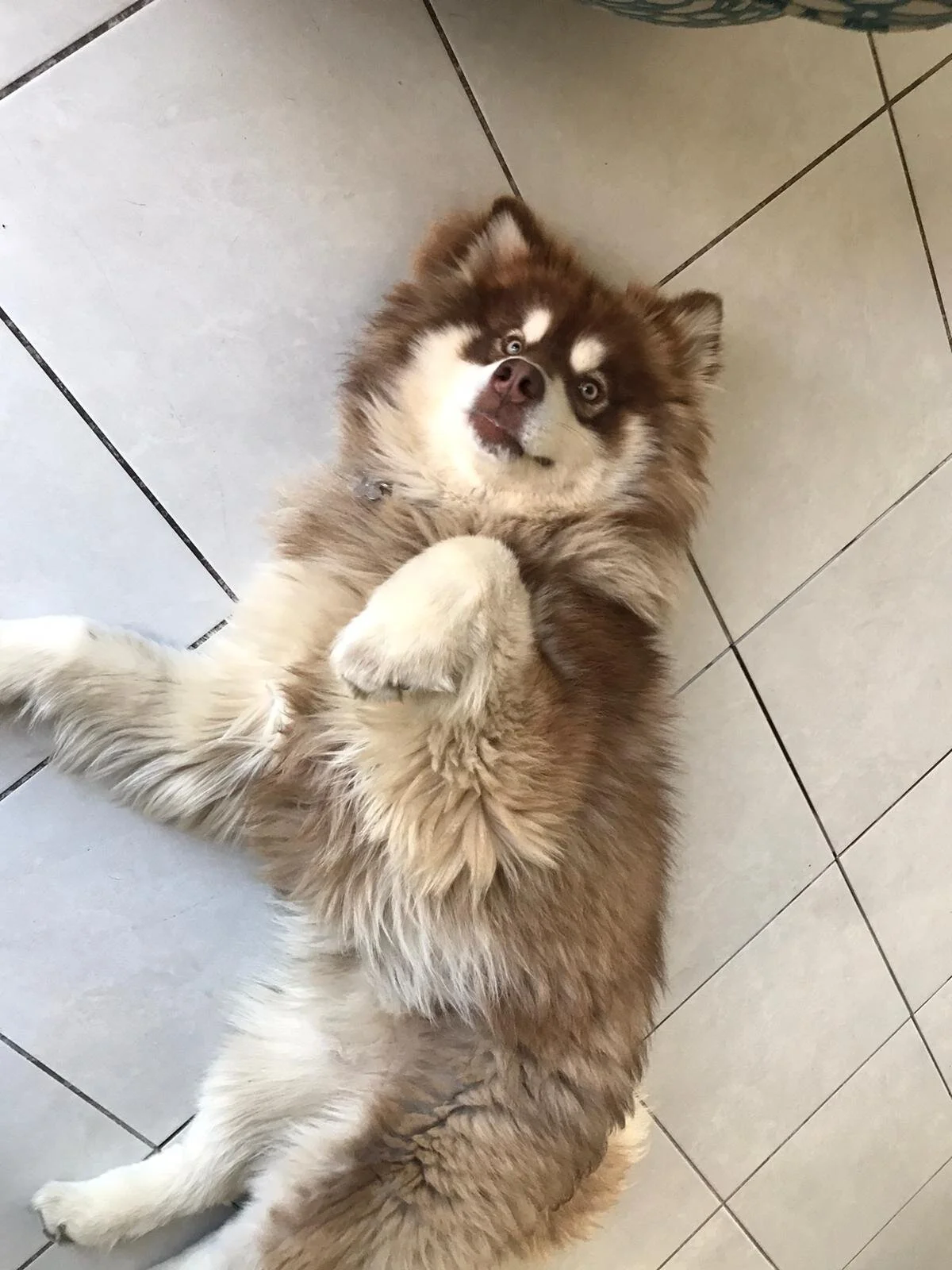 A6778BBF-2263-447C-B16B-513EF9DBC536