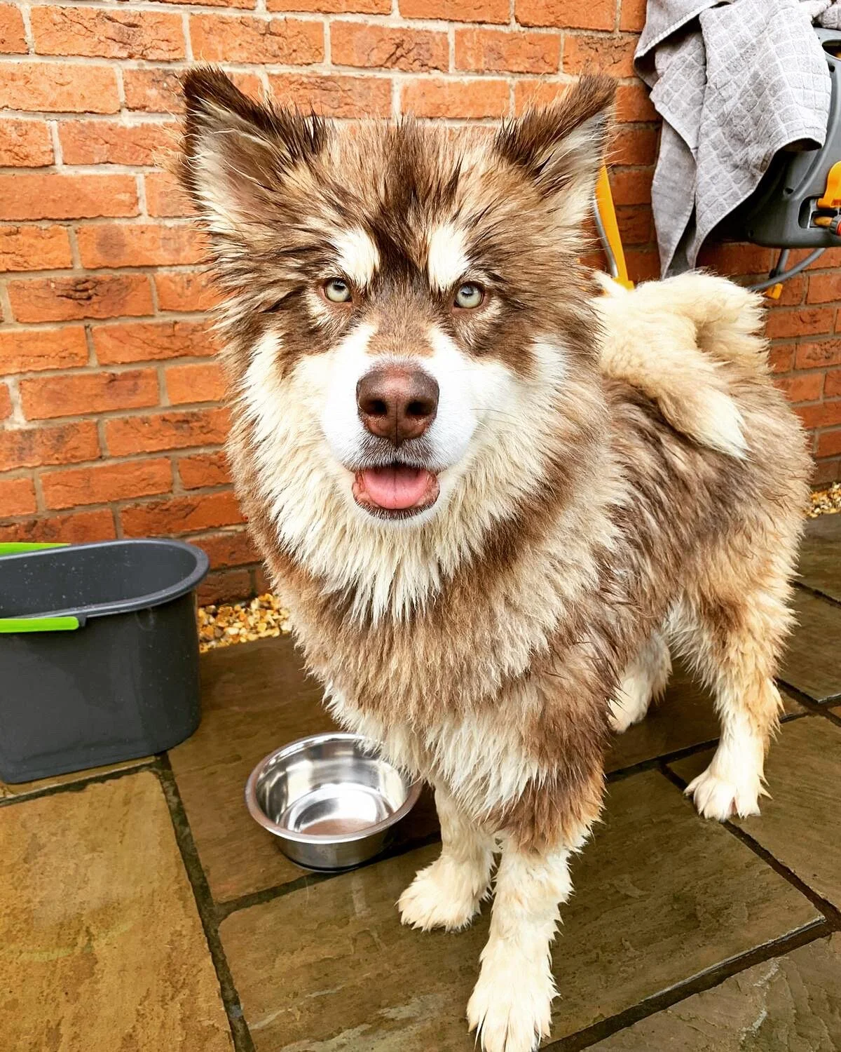 9C61DB58-9062-4E38-84E2-D9933B8EB870