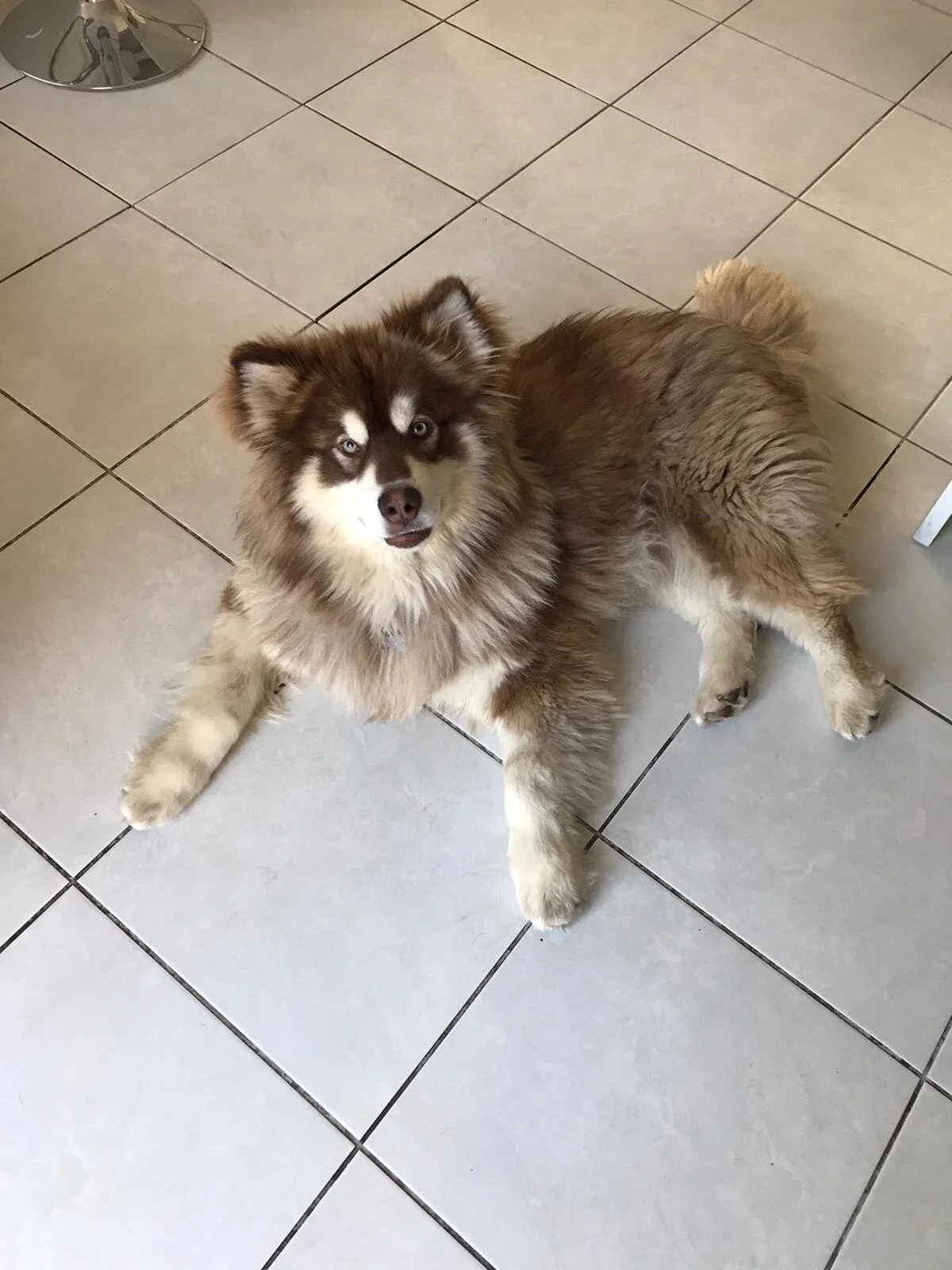 38AE9F07-2B00-48E8-9212-0CB24B7B46D6