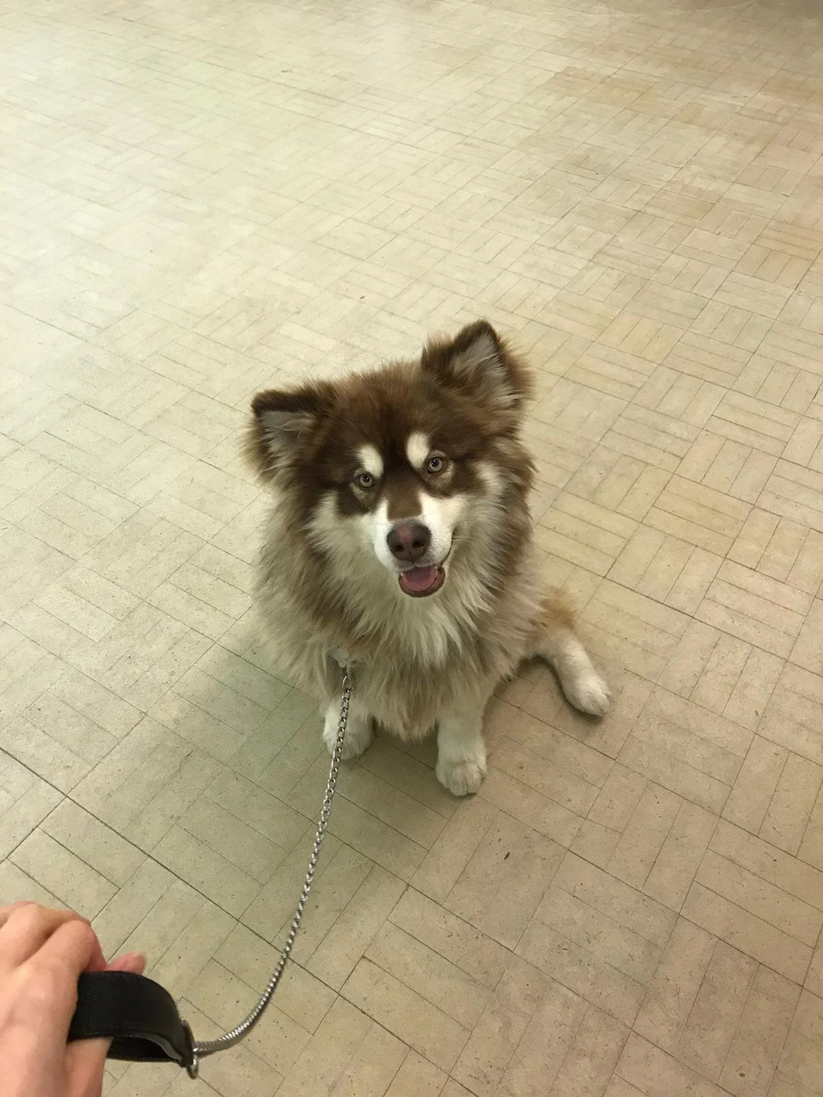 1535C841-7194-443A-BDF2-EE5178AFE557