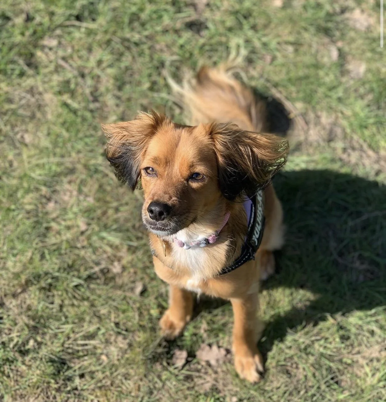 6FD71FB3-C4BA-47D2-9FF5-841AAD672B8C