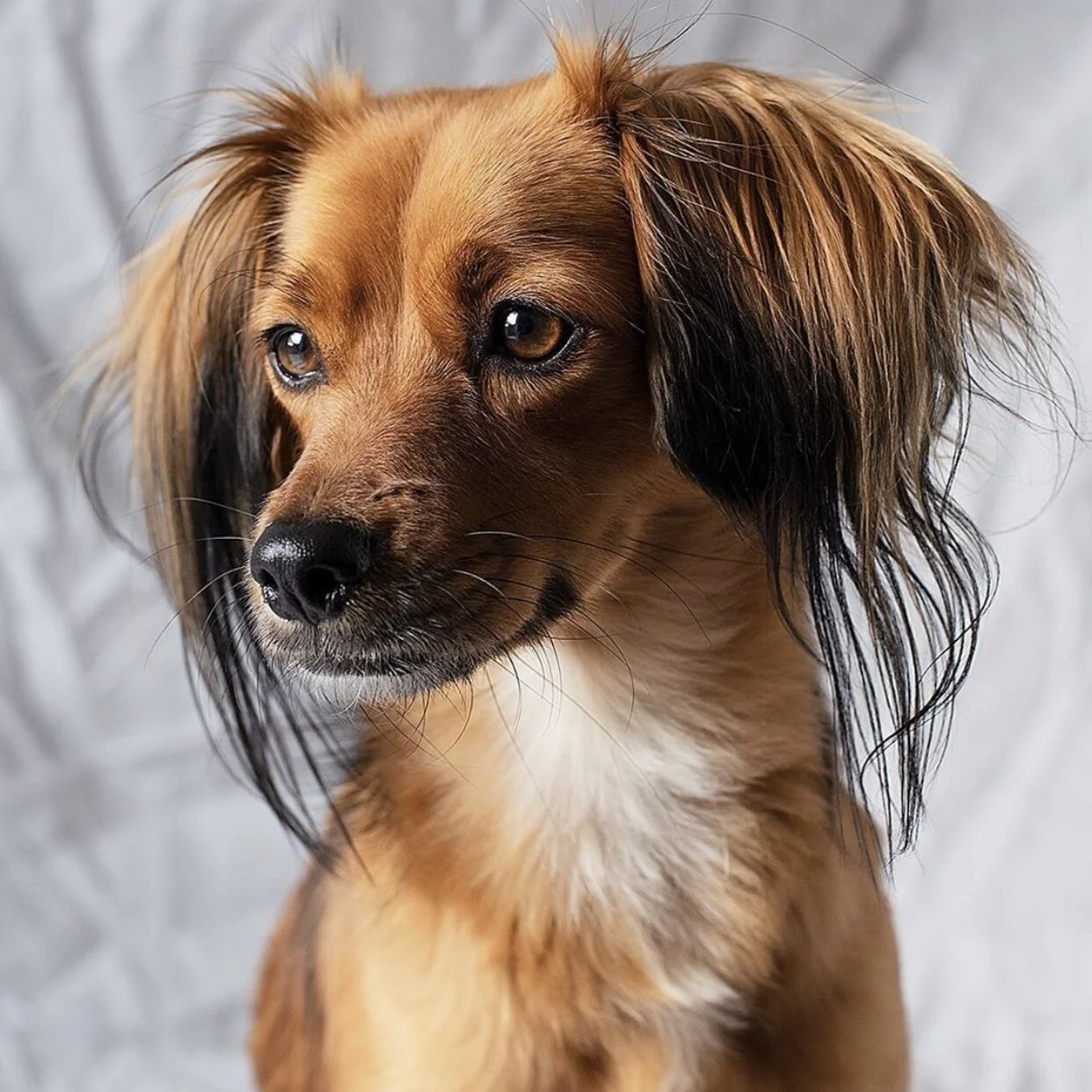 CC812ABB-4417-4260-B911-3FF4B2FFA923