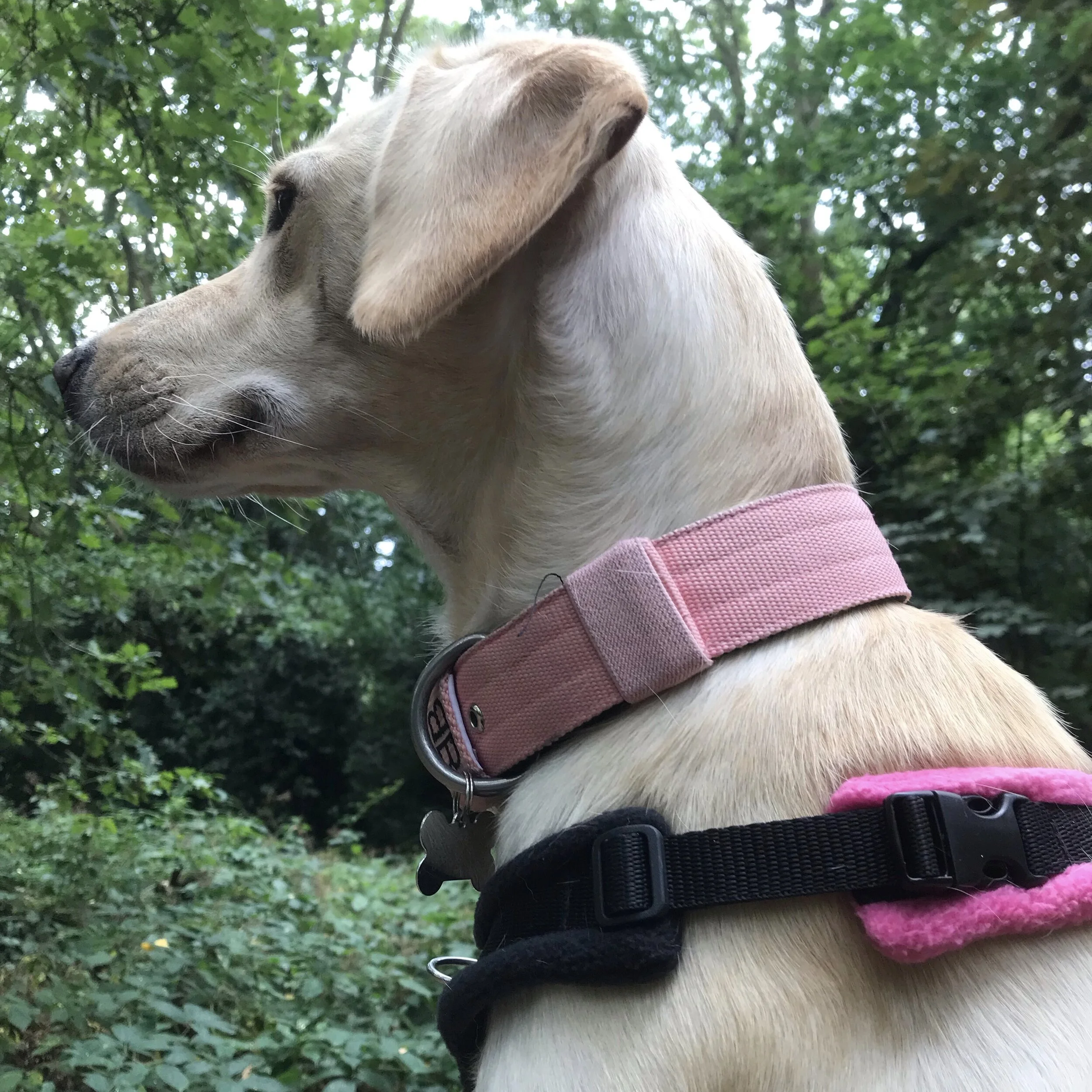 7FECD835-BD32-4B3F-8502-3356BCF8A5D9