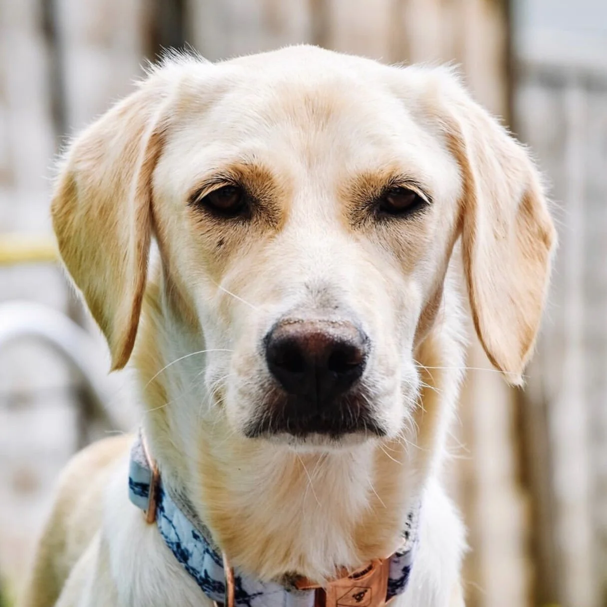 1C60B1E4-B95E-4D45-A178-65BEE633CE6B