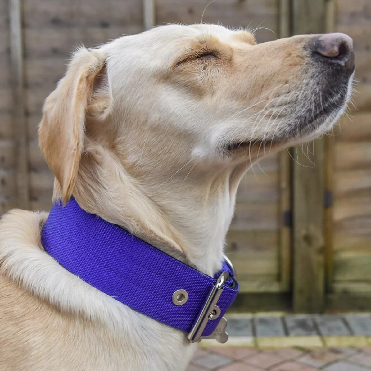 5FB6EF1C-6DD8-4DFA-974E-063E5E523413