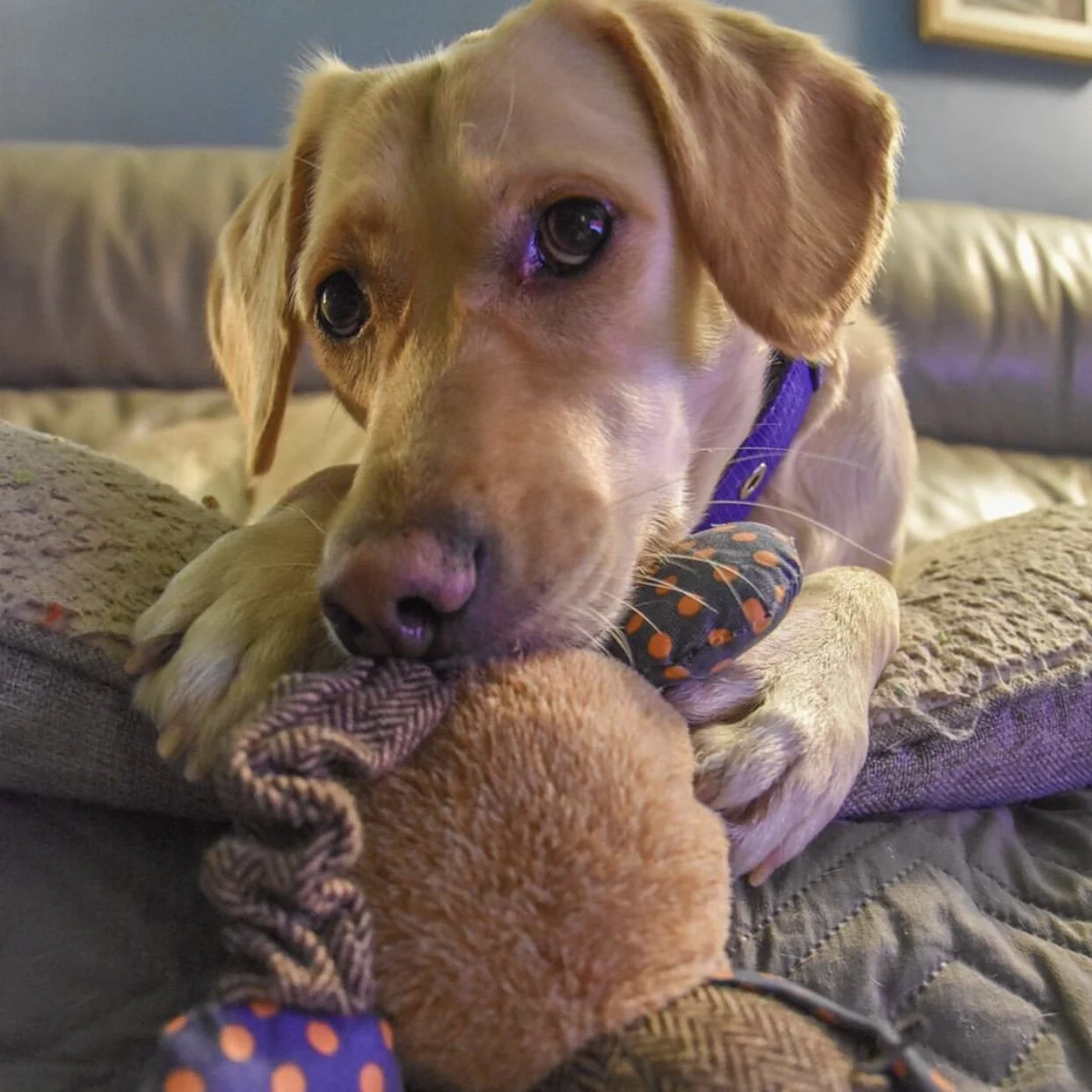 157E8F81-CEDD-45C8-9BB6-A89B26691D63