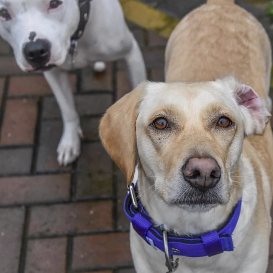 ECCF6A36-648F-42E8-8243-6C1B9F1BAF02