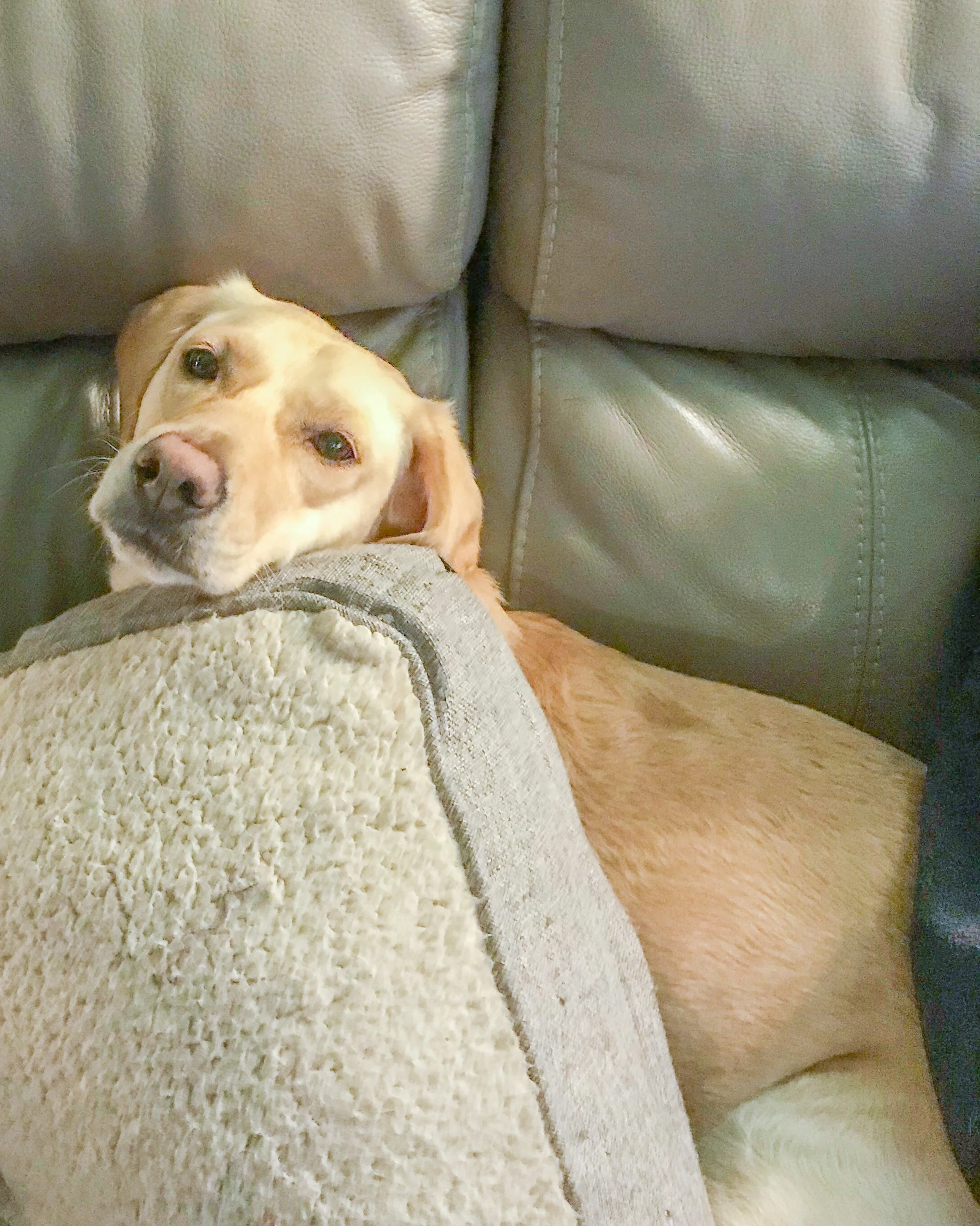 BF887FE8-E869-4883-99AC-16137DF98571