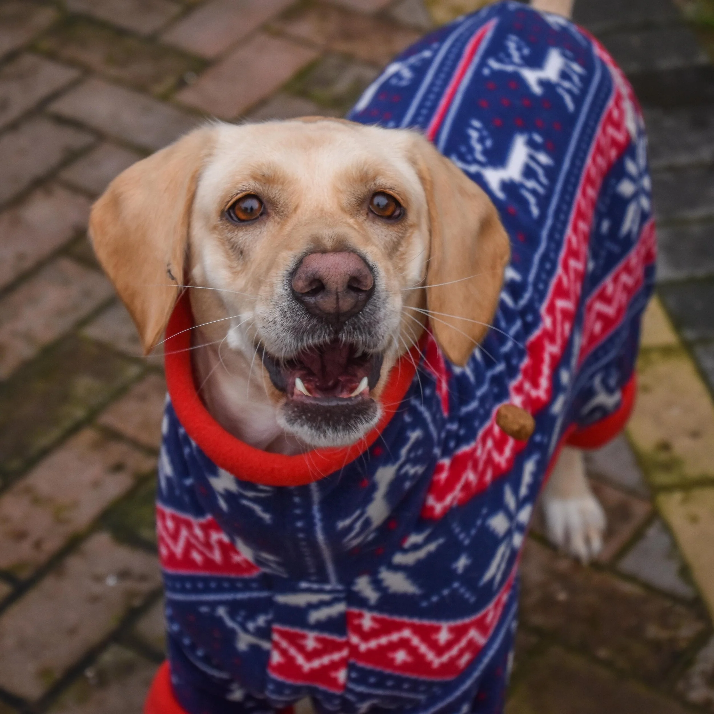 D3C7C67A-1158-4C58-BF47-E0DF00765B05