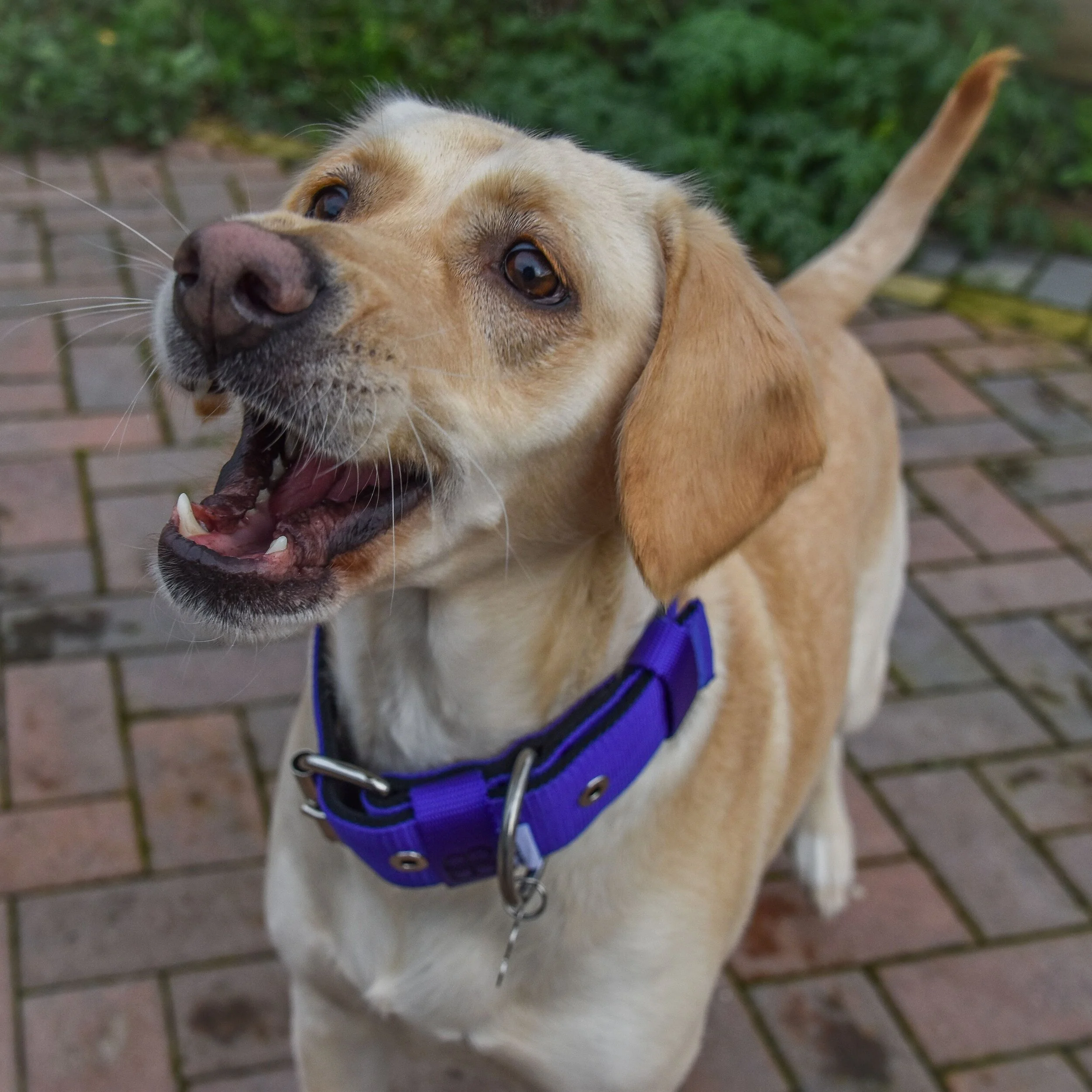 90268141-F720-4AF9-AEBF-0E7FE0A27207