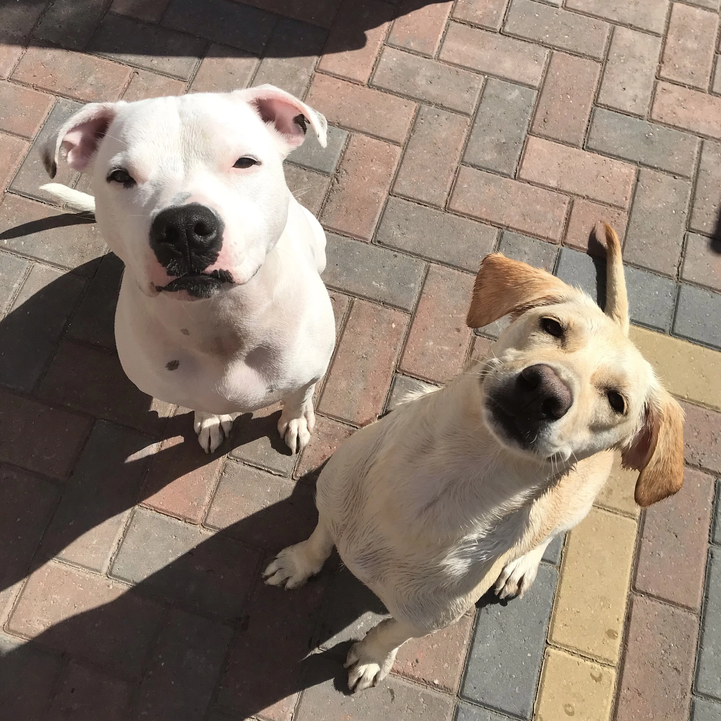 10E2E49B-A651-4C1A-B6A8-45405146C1EA