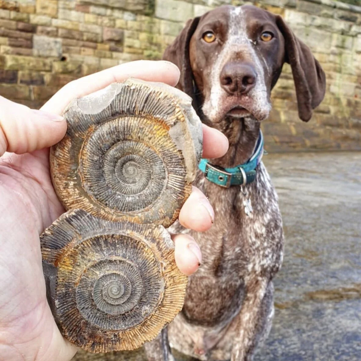 172F3869-8798-4A29-9F76-EAA3FC414214