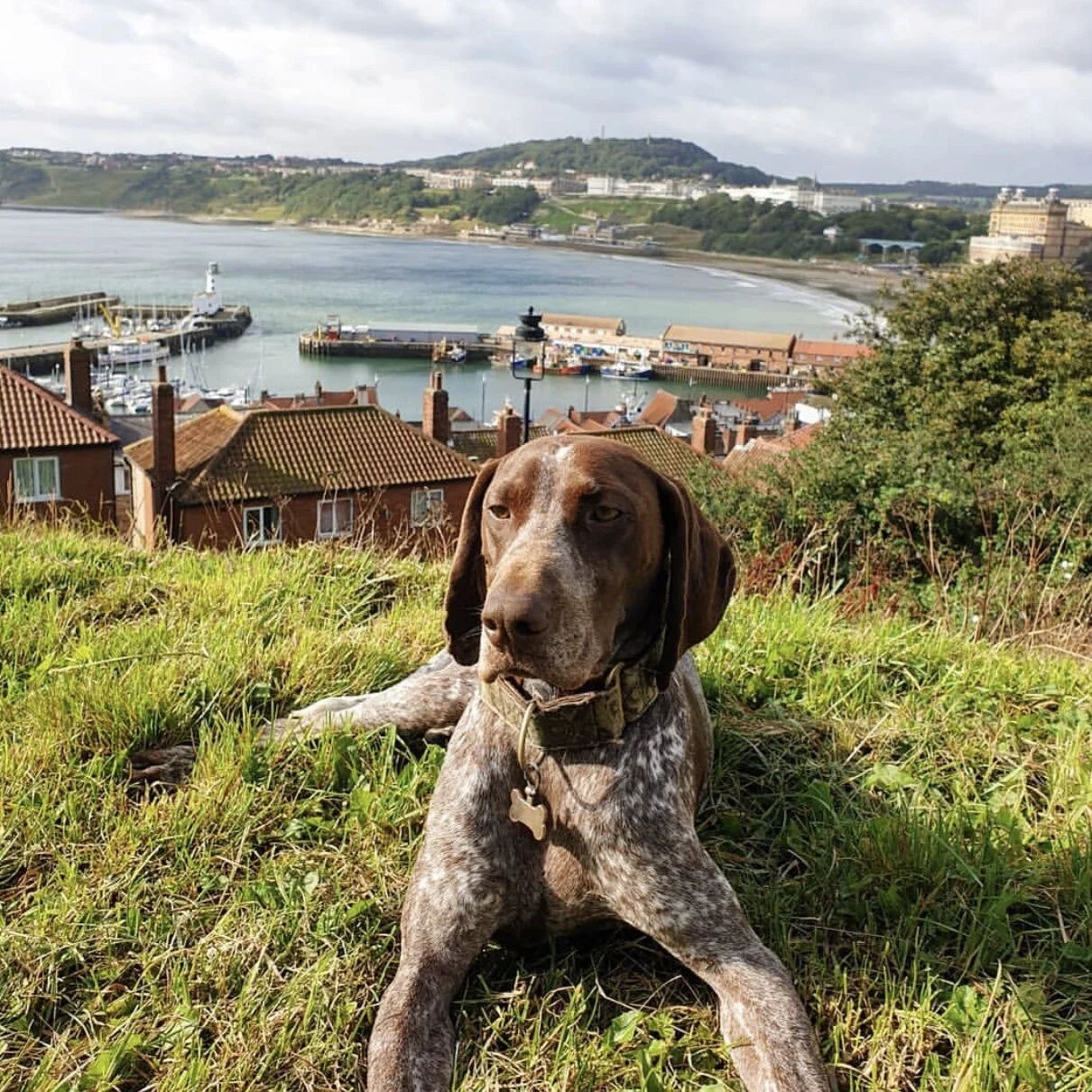 57497E99-EFEE-456E-AD7E-2D7995F10A2D