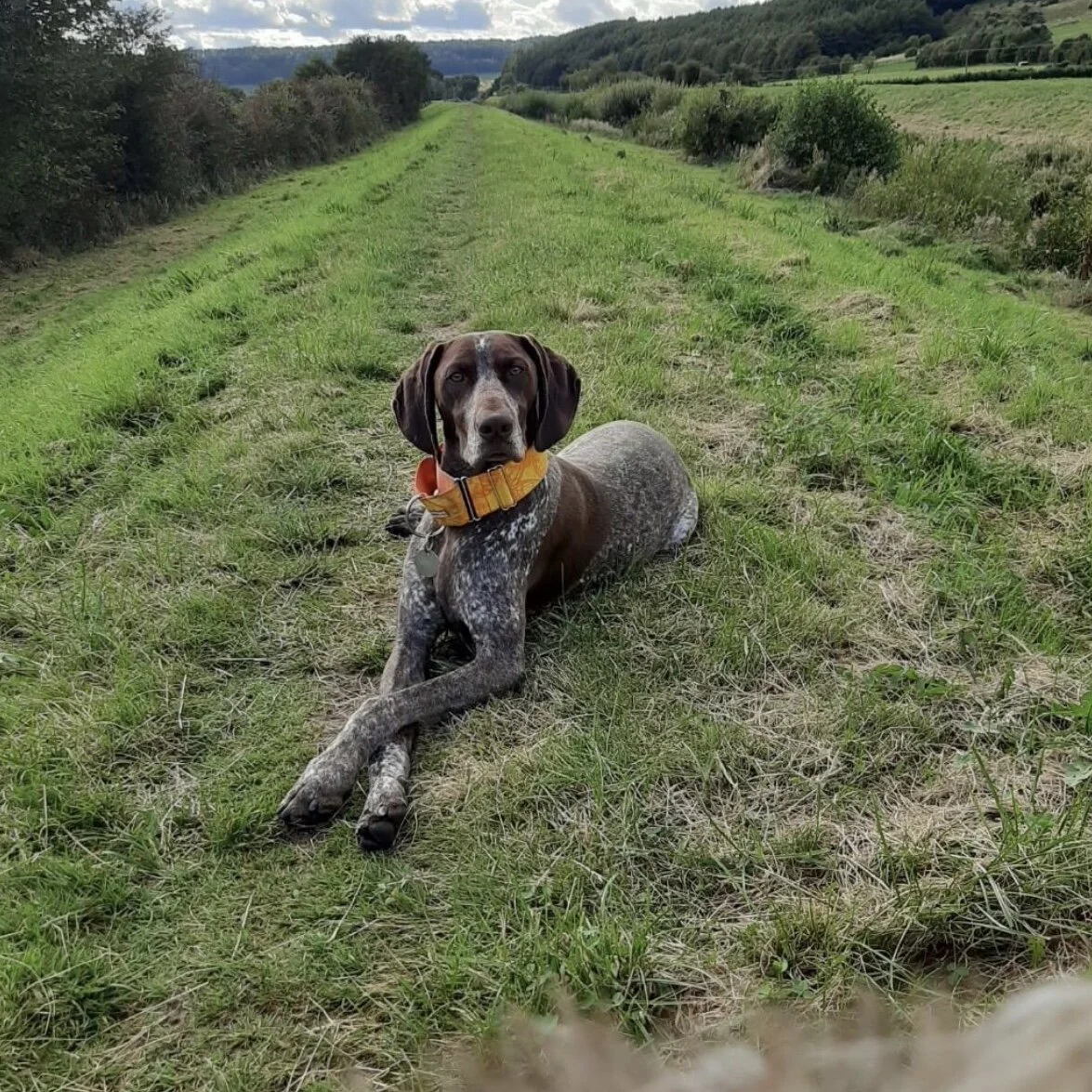 9AC420C6-E8BA-443F-9D35-A0B157548B65