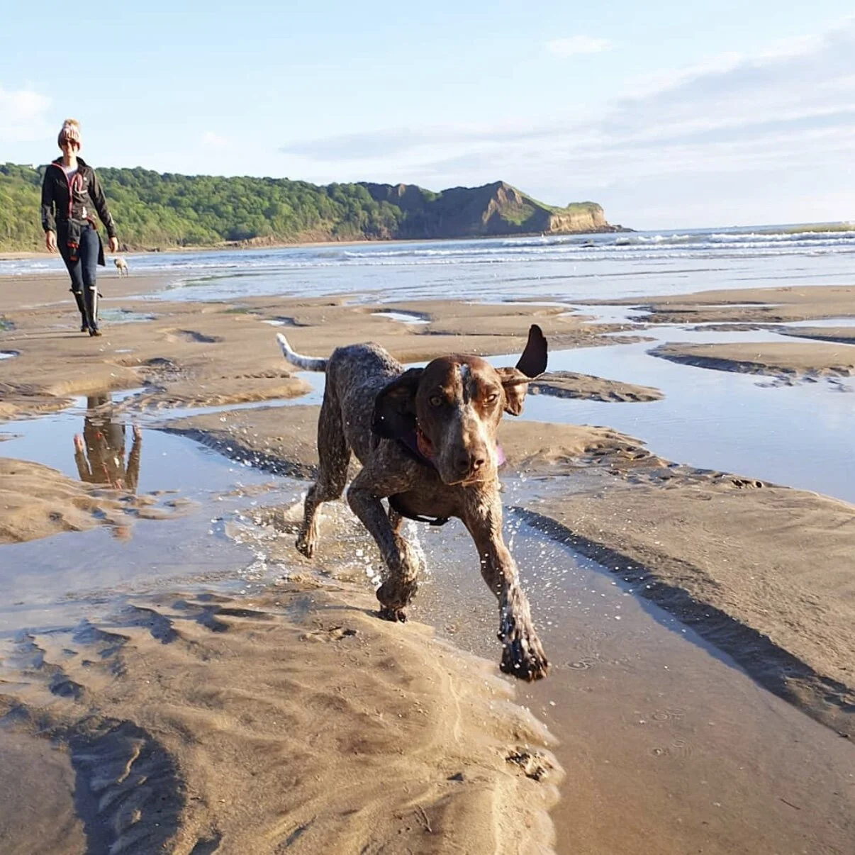 845A4DB7-AD29-449D-B5EF-3CCEC084CAD9