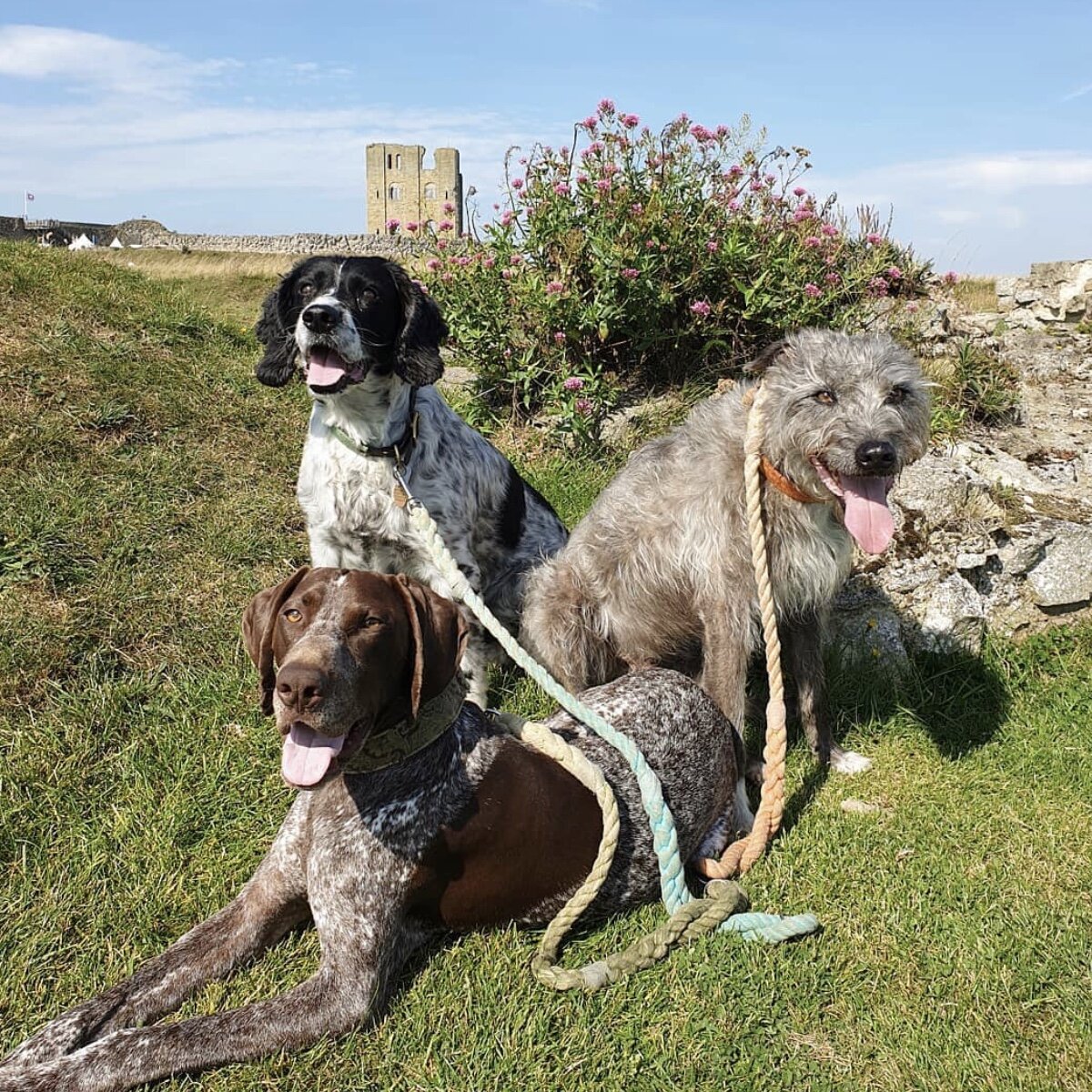 F1EAFF90-DEC1-40D7-BBFA-5BBBCADE3C21