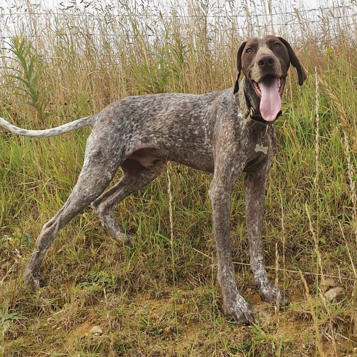 ABE5D76C-9AC7-4036-B785-55049F88673F