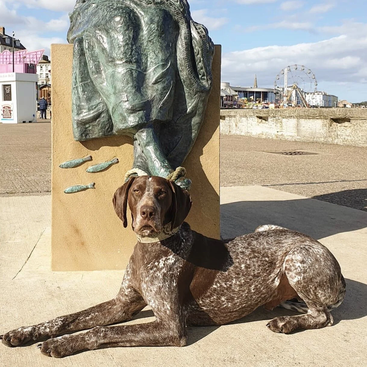 3C1EC23B-833F-4A09-A741-8182A8C12E22