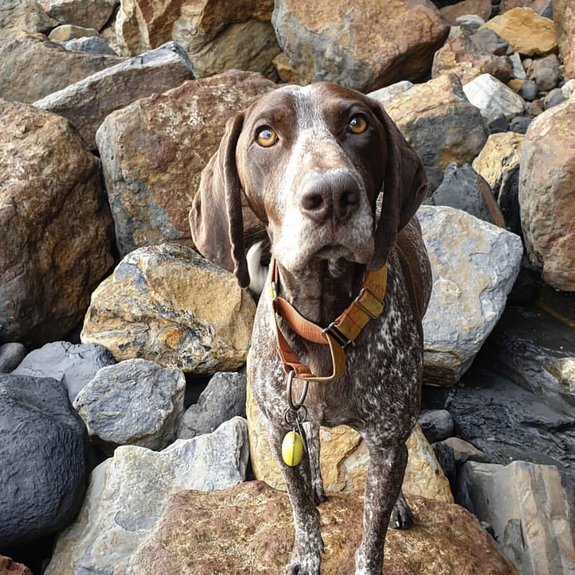 0198DB84-1222-416C-A0C0-BD25F02DC196