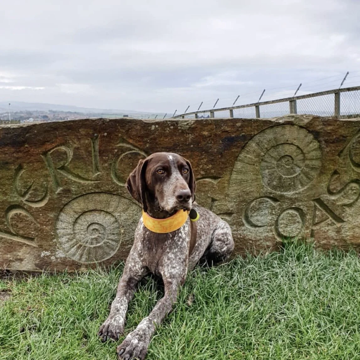 AFEACA42-D4B4-40AA-9D15-8634B567FC7C