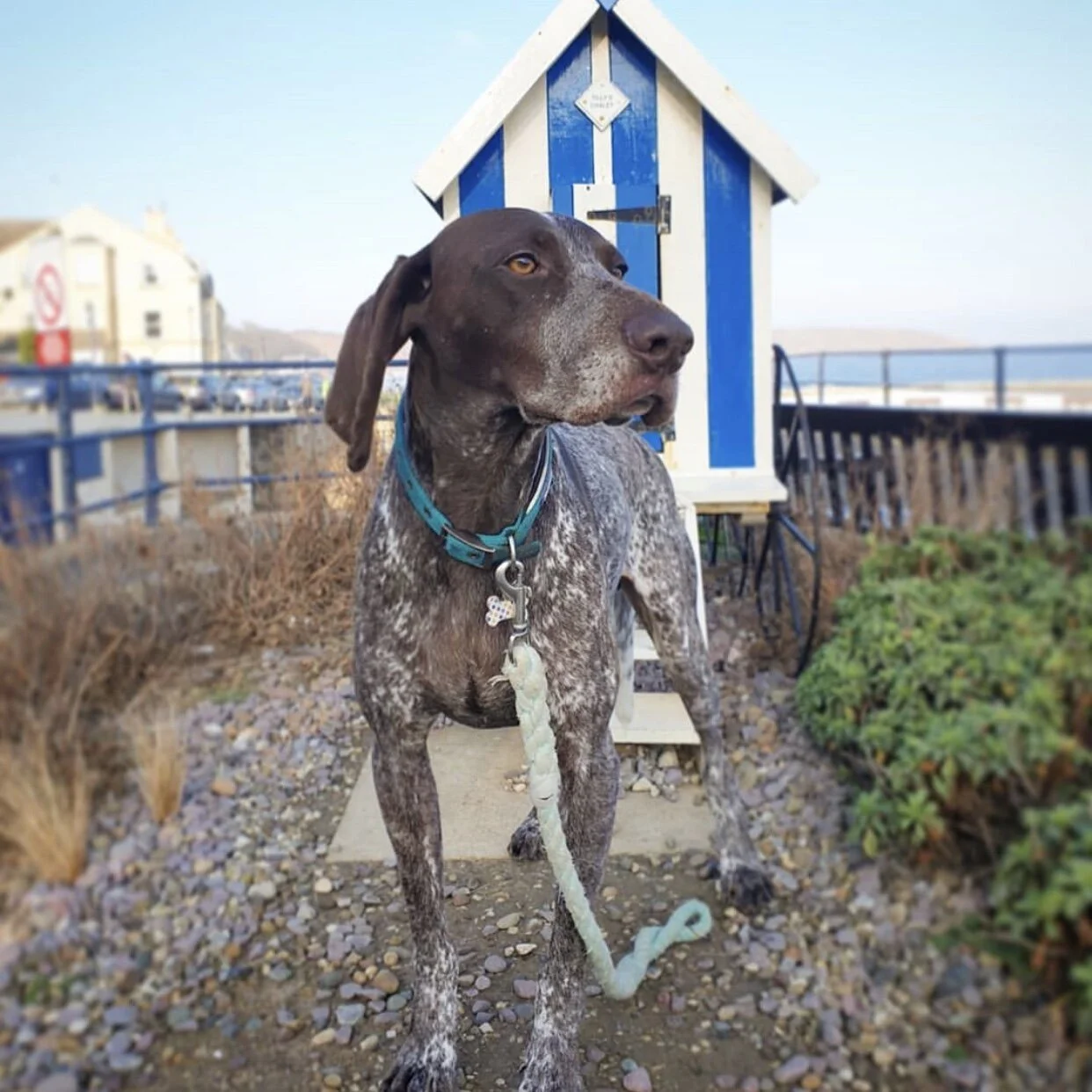 07AB6EE6-1055-45A0-972F-61A68D1E9645