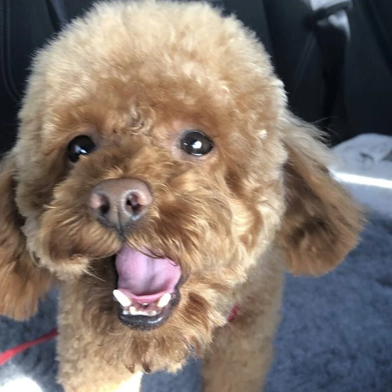 815027CE-A50D-4820-B77A-39ED52C16DF3