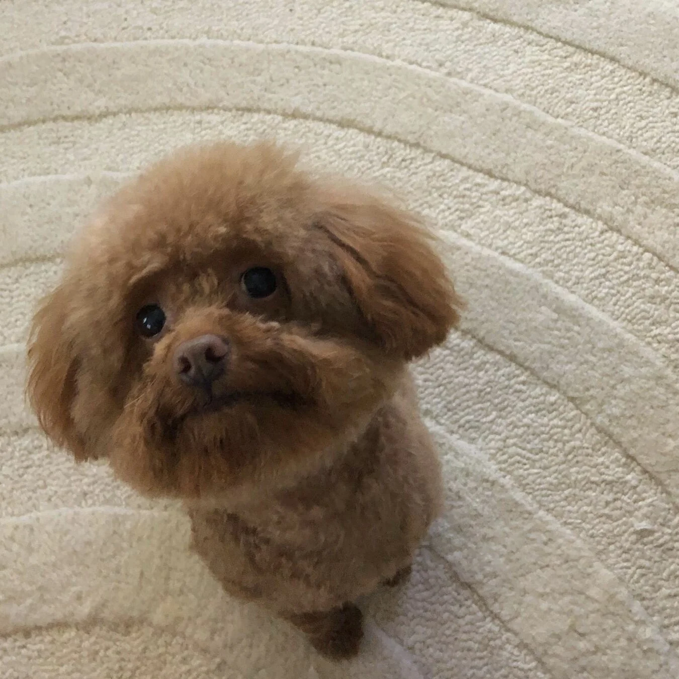 D96D669B-A4EE-4386-B831-4135B105068E