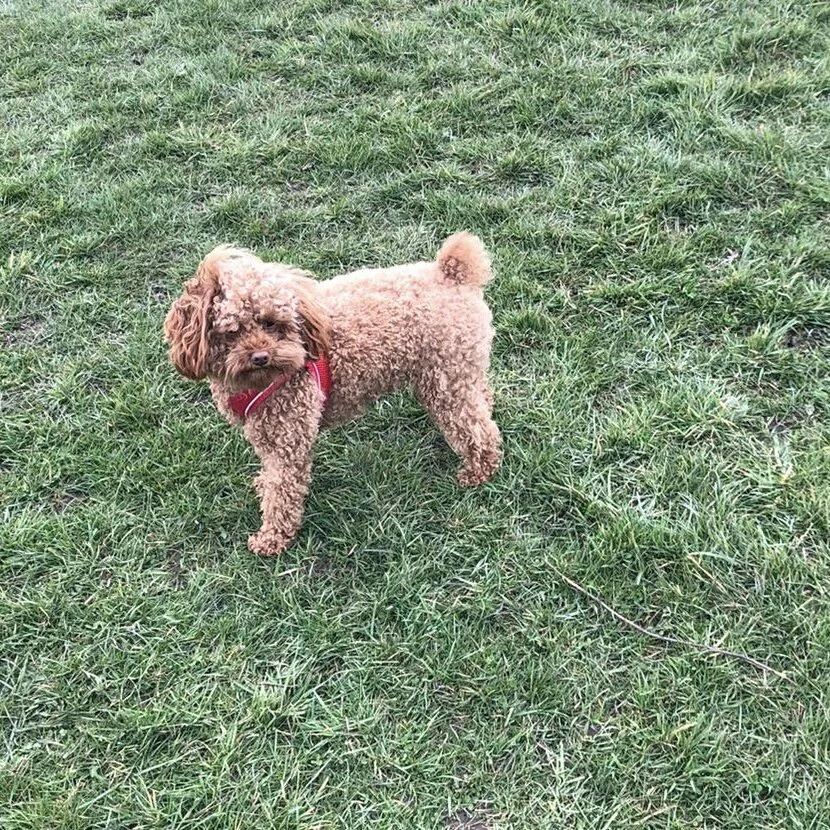 9013B365-BF1A-4912-A06C-B26D2B8C7B1F