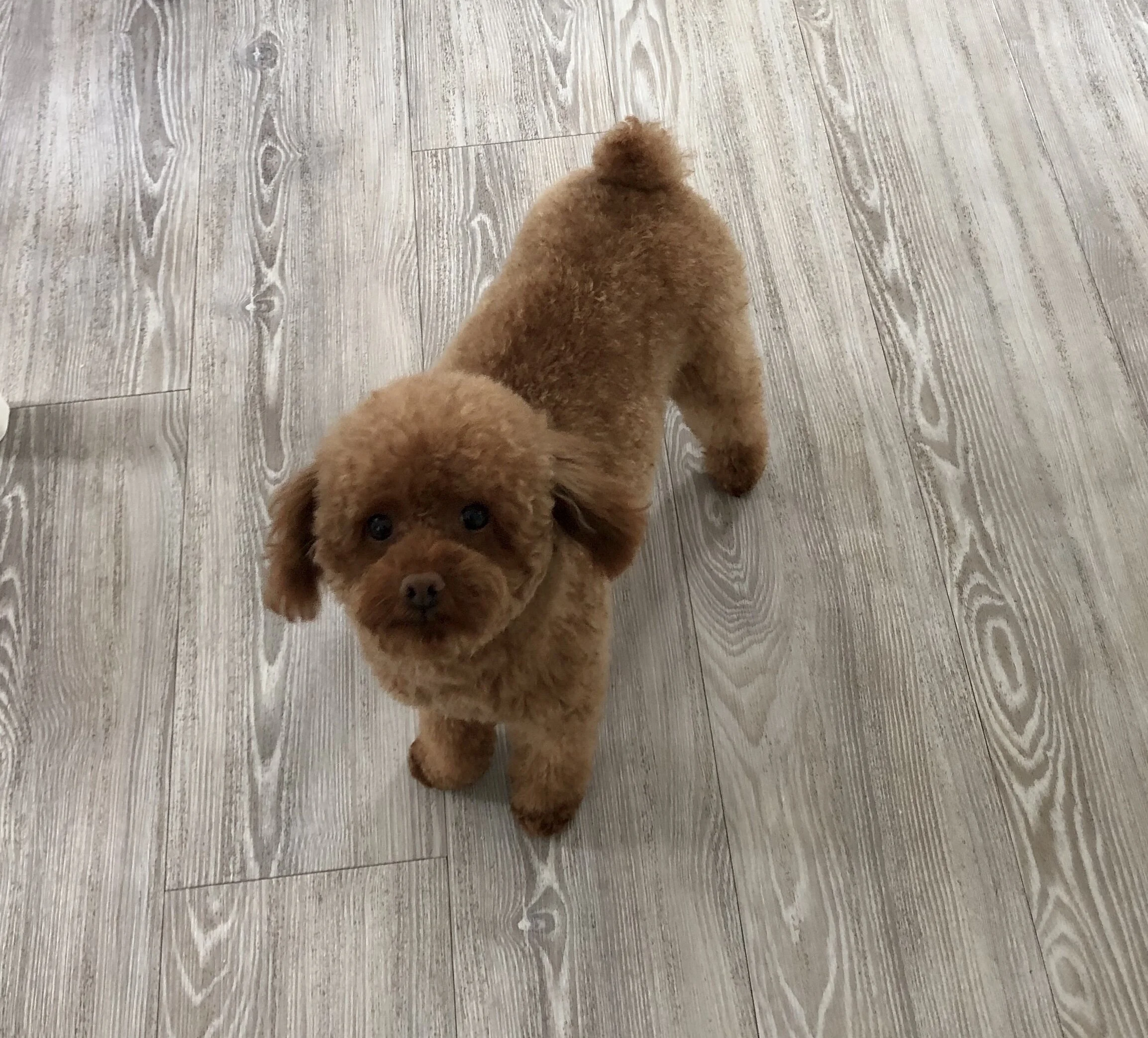 D4401EBC-A2E2-43C6-88D1-1179ADE66904