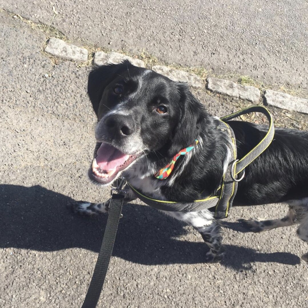 2EB9765D-7FFE-4A09-96B4-392A022D728F