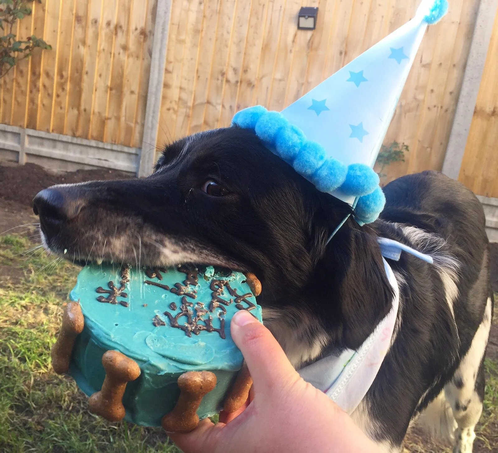 35BABB62-9DBC-4DBC-A145-ED965231B376