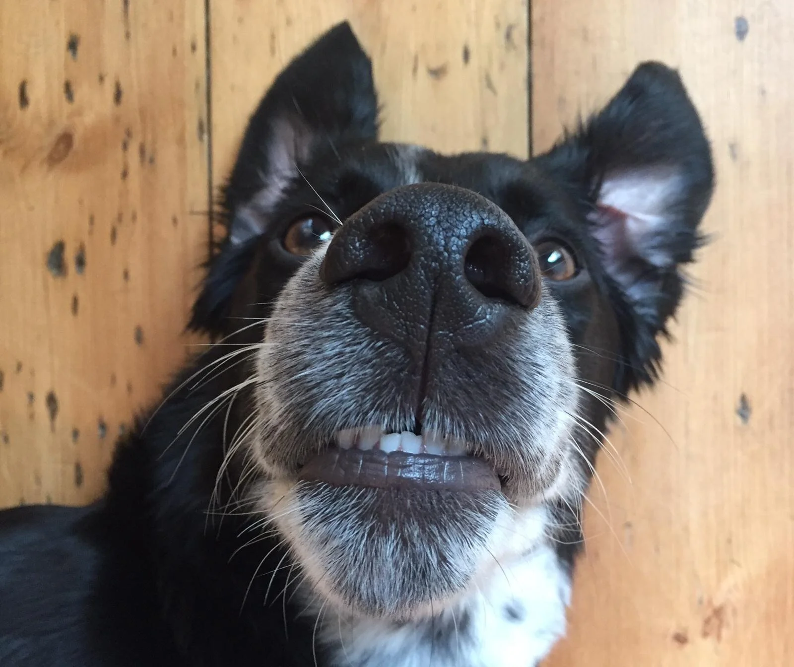 87266DA7-8771-4BF6-865D-D71F5CDF9A10