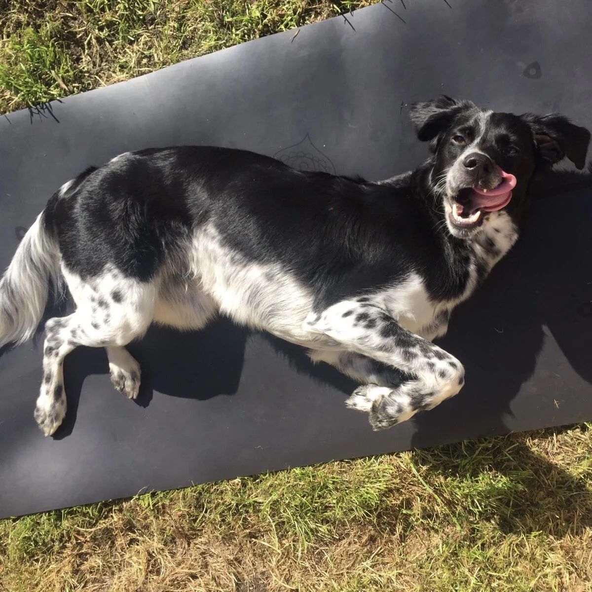 33AAFA96-EDE6-4CFC-AFFA-3D67FAA44616