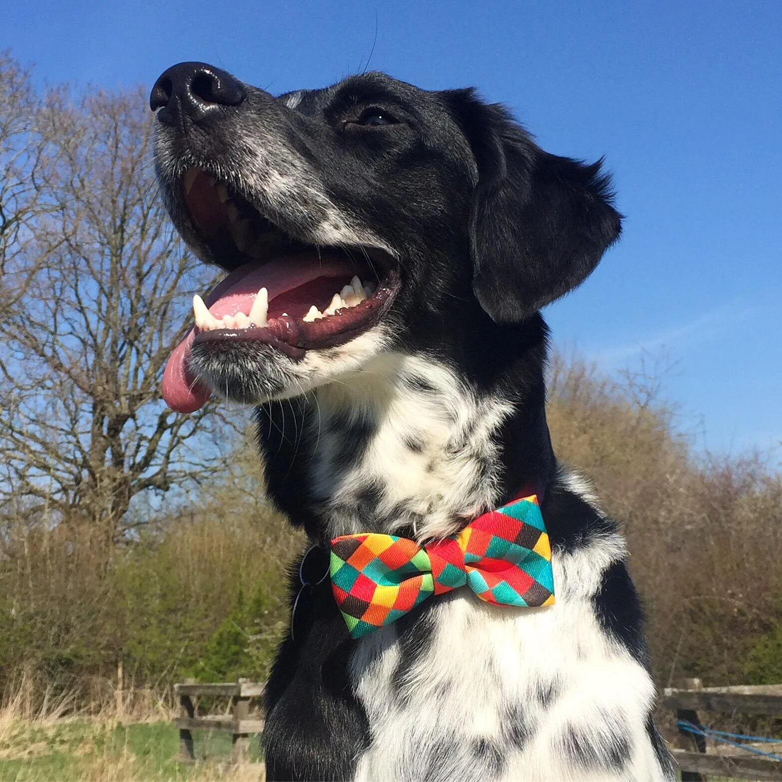 E04DD86F-498E-4A5E-94AC-452D0D2438F5