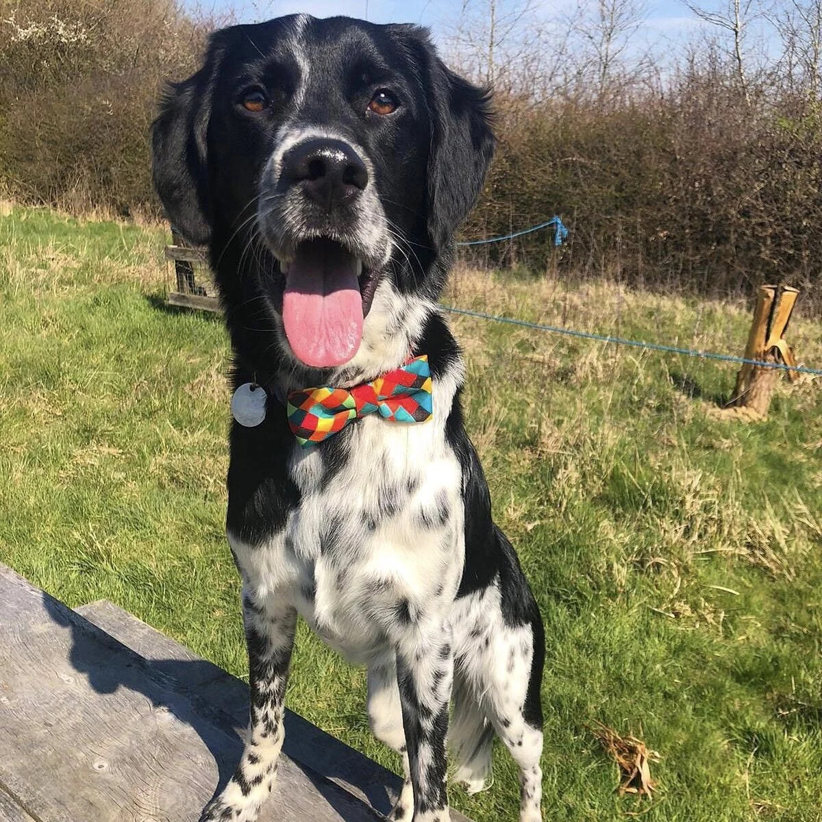 DADF5984-70C3-429D-8C97-327665044229