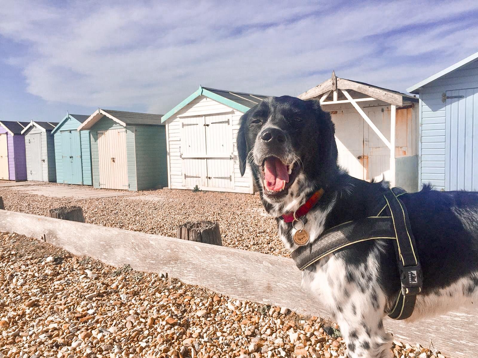 5AA42640-30DB-43B7-BD57-99D7BF6FE8D1