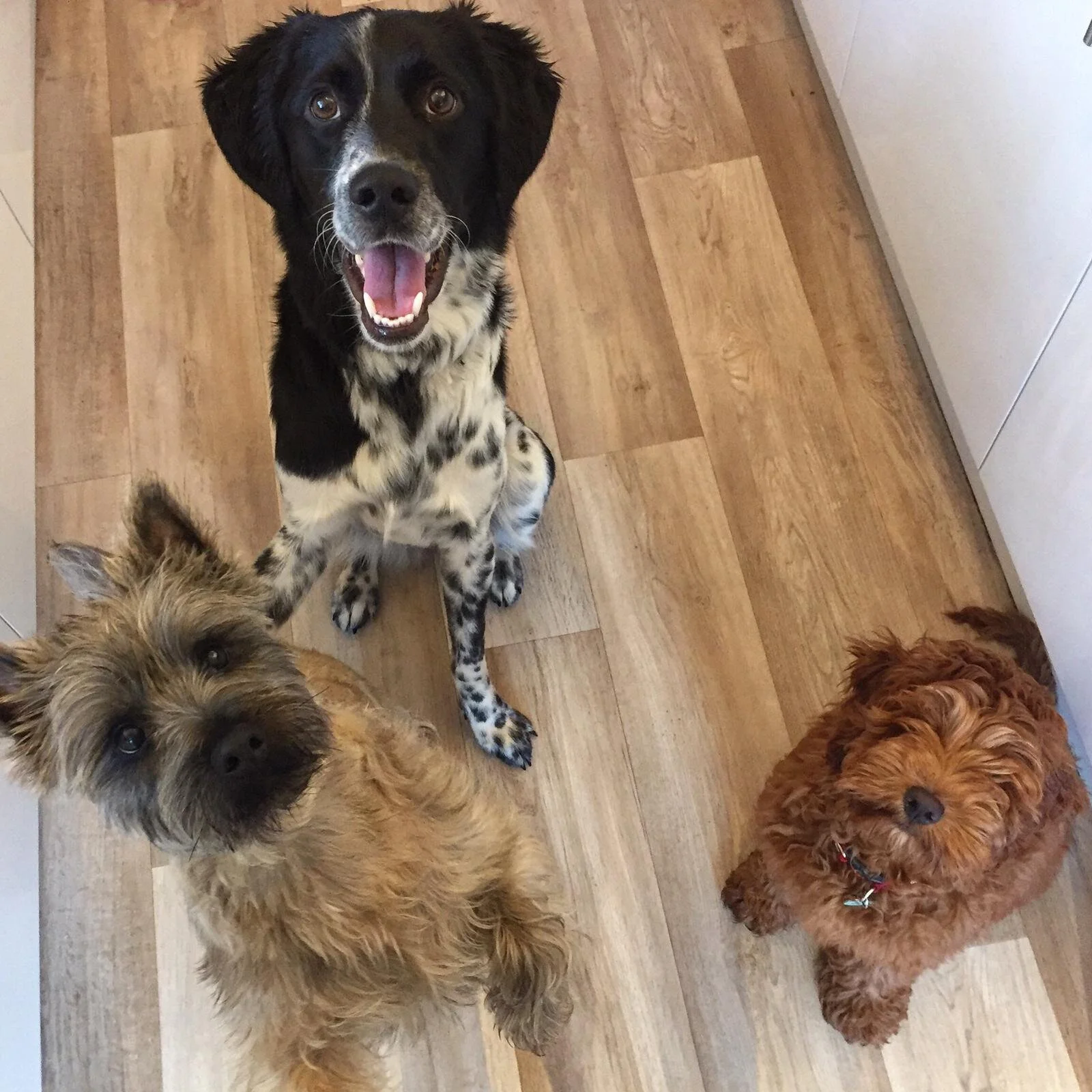 65ACD7B2-91FE-47ED-8164-482098D4122F