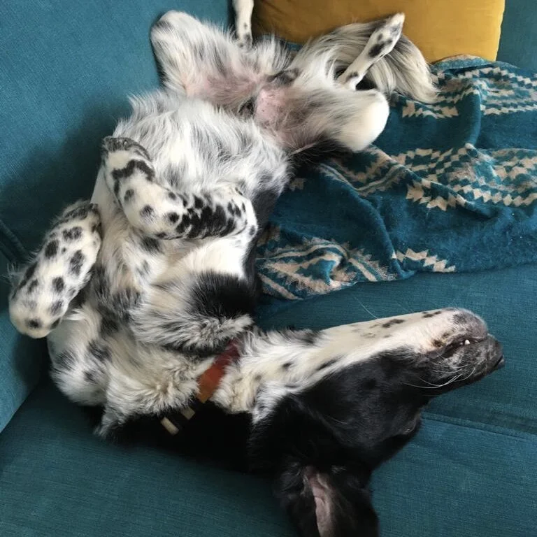 B8009E7E-25EB-464A-9F3A-6ABF11A93C59