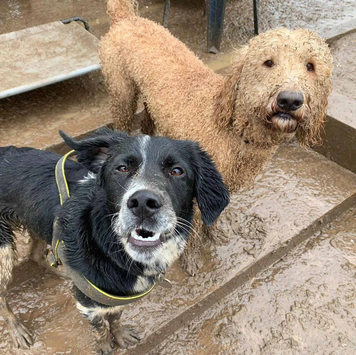 24F30F6A-C66C-4F5F-B4CD-219C893946DA