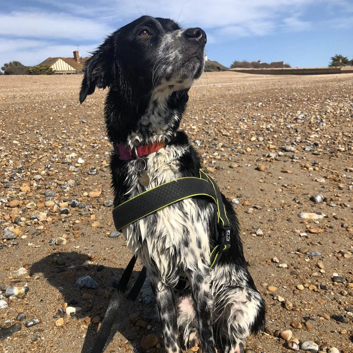 3A7C2FC4-A535-407D-810F-ADDC964E30E4