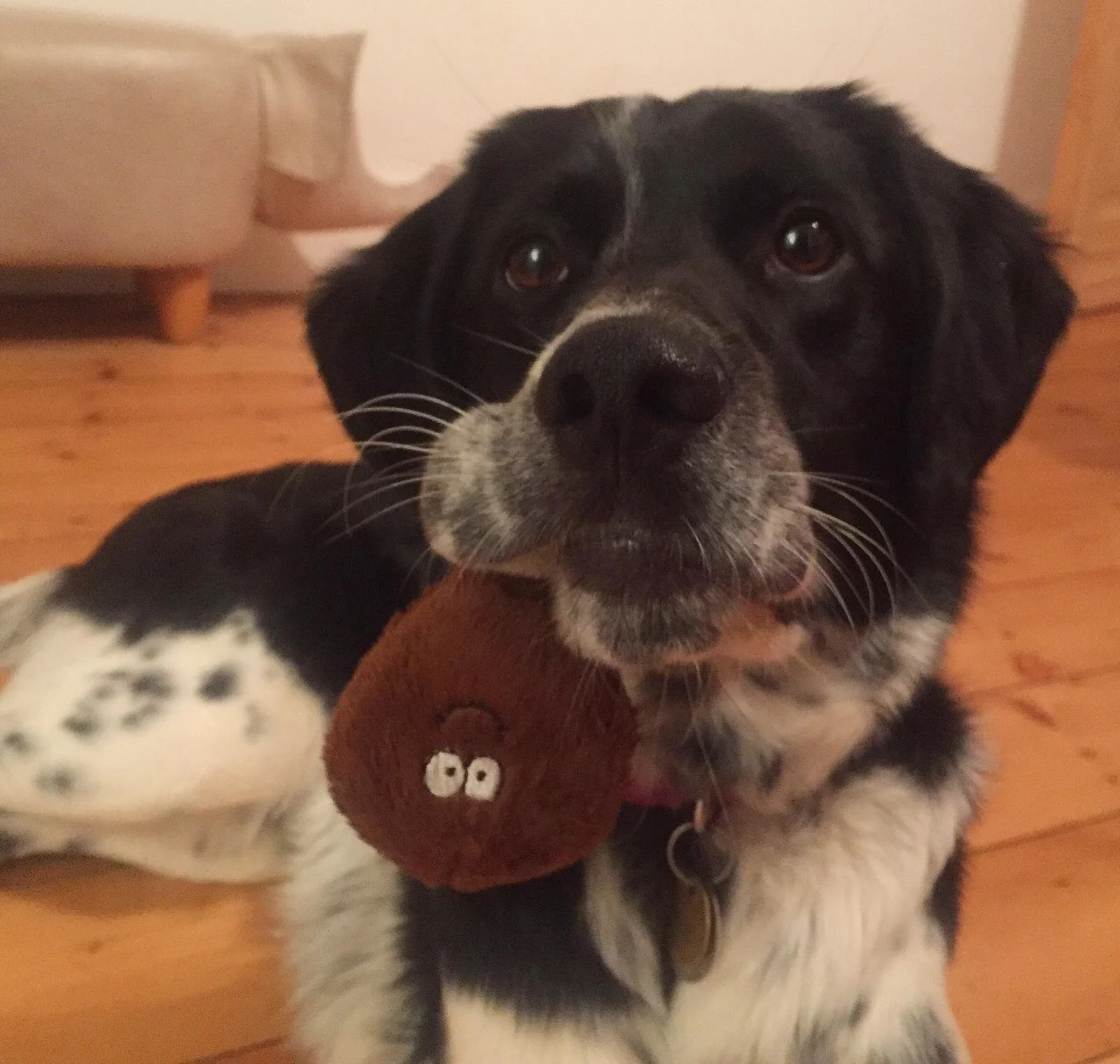 BC180317-BFC8-482F-9352-F636B54483CE